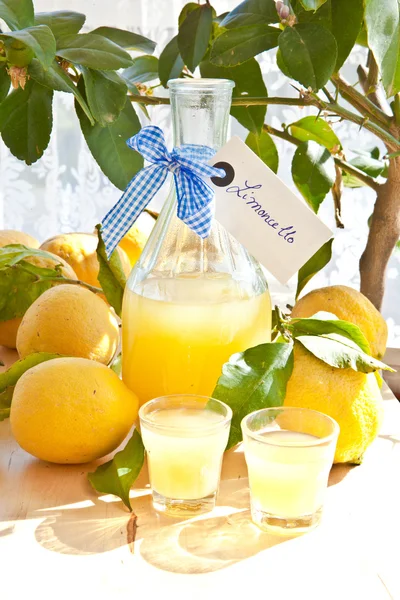 Homemade Limoncello — Stock Photo, Image