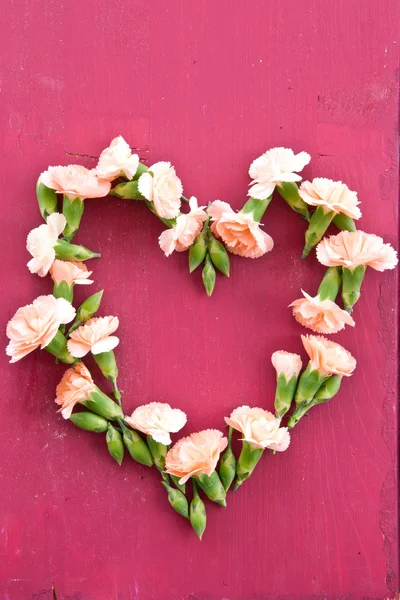 Carnations in heart-shape — Stock Photo, Image