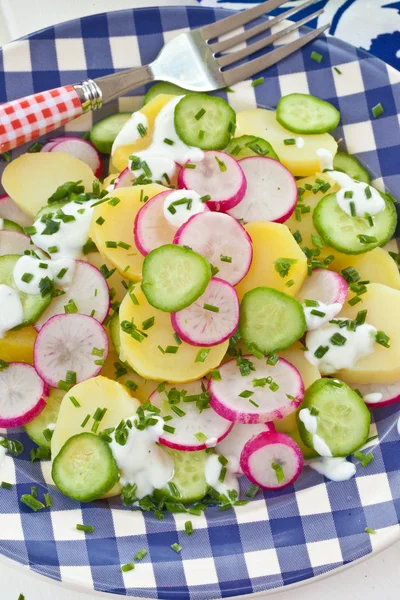 Salată de cartofi cu castravete proaspete — Fotografie, imagine de stoc