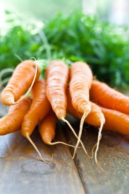 yeşil yaprakları ile taze havuç