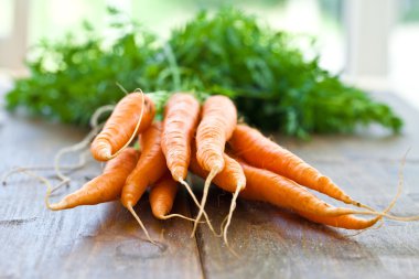 yeşil yaprakları ile taze havuç