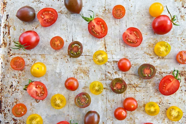 Různé rajčata — Stock fotografie