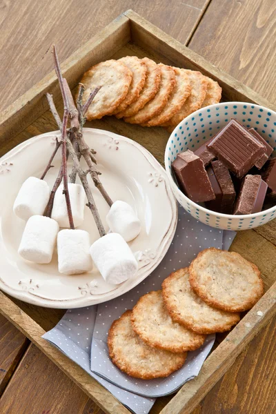 Marshmallows to be toasted — Stock Photo, Image