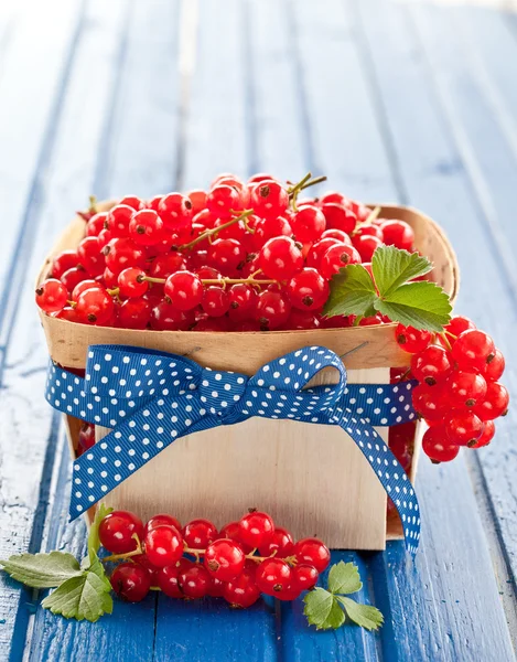 Basket with fresh red currants — Stock Photo, Image