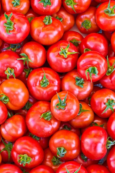 Röda mogna tomater — Stockfoto