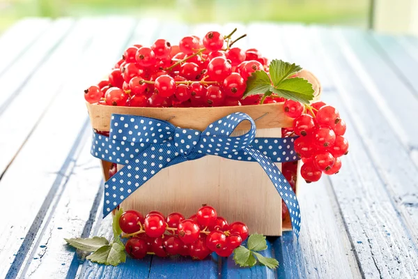 Basket with fresh red currants — Stock Photo, Image