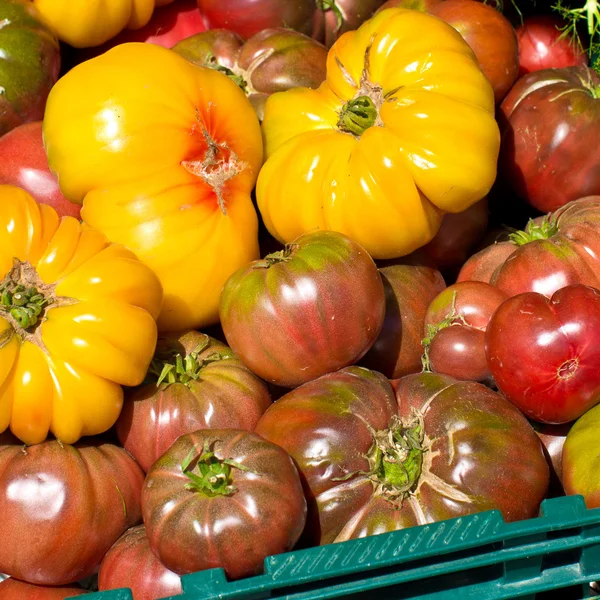 Färgglada tomater — Stockfoto