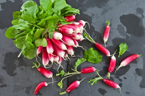 Fresh radish — Stock Photo, Image