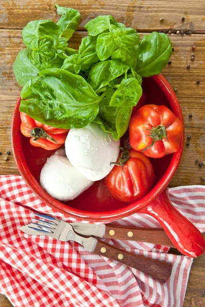 Tomates, mozzarella y albahaca fresca — Foto de Stock