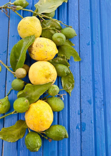 Limoni freschi biologici — Foto Stock