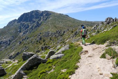 Sırt çantalı bir çocuk dağda yürüyüş parkurunda