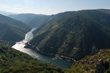 Sil Nehri kanyonundaki teraslı üzüm bağları