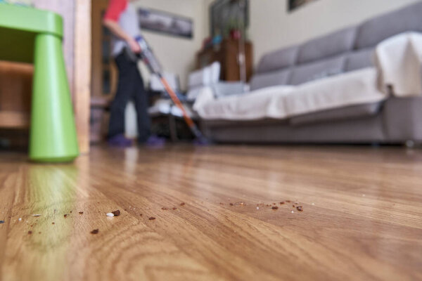A nrecognizable woman out of focus vacuuming.