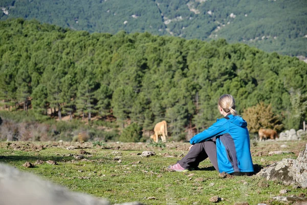 Una hermosa mujer sentada cerca de vacas pastando en el valle verde — Foto de Stock
