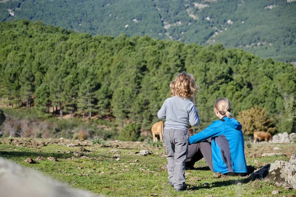 Niño pequeño con su madre pasando un día en la naturaleza relajándose y viendo a las vacas pastando — Foto de Stock