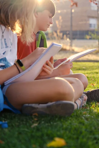 Teenage friends studying in the park