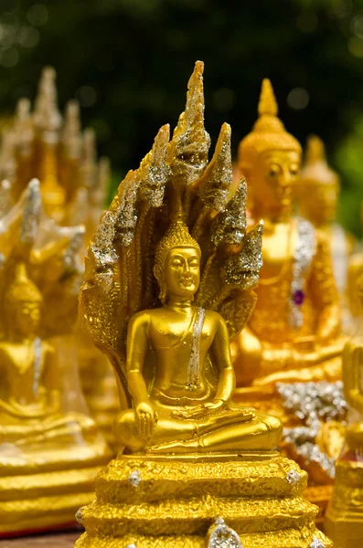 Piccoli Buddha — Foto Stock