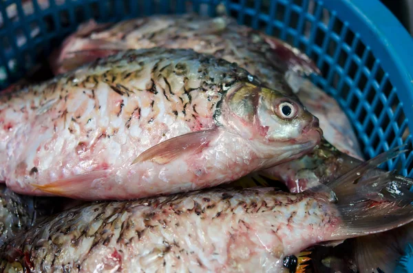 Pesce vivo che vende sul mercato — Foto Stock