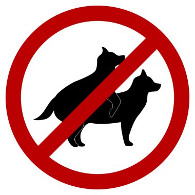 köpek doğurmak iz yok