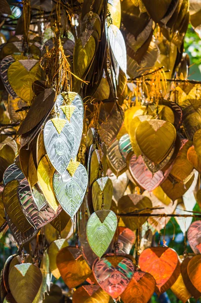 Colorful Bhodi Leaves — Stock Photo, Image