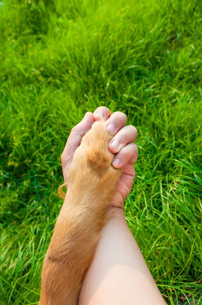 Liebe ohne Grenzen — Stockfoto