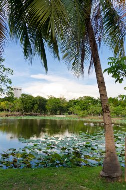 şehirde büyük bir su birikintisi