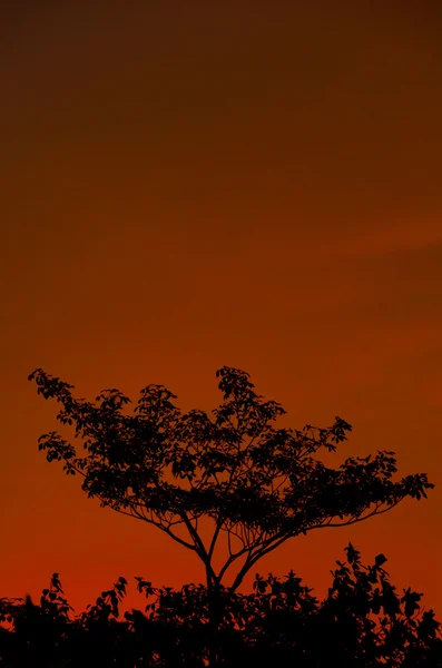 Céu de noite colorido (queima ) — Fotografia de Stock