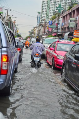 2012 Bangkok'ta sel