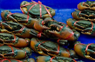 piyasada satan hayat Yengeç