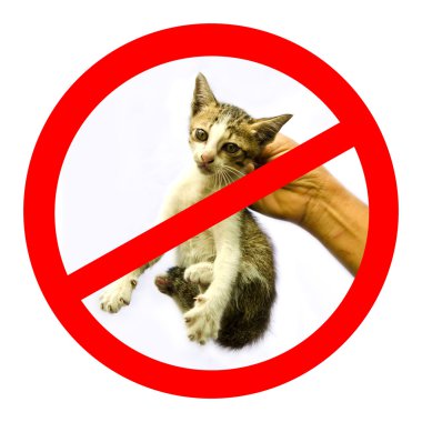 unwated kedi ya da işaret zorbalık yok kedi