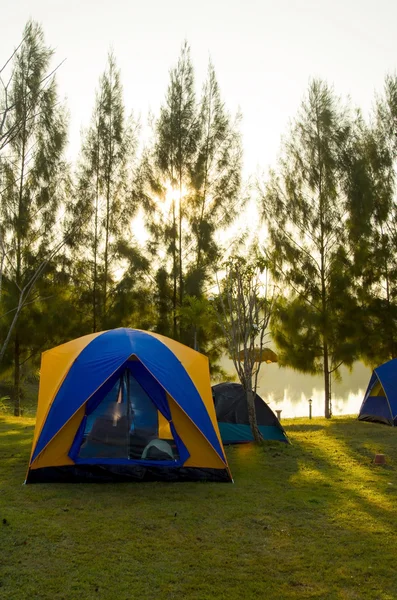 Camping — Stockfoto