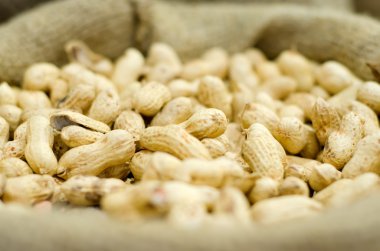 Kumaş çuval içinde fıstık