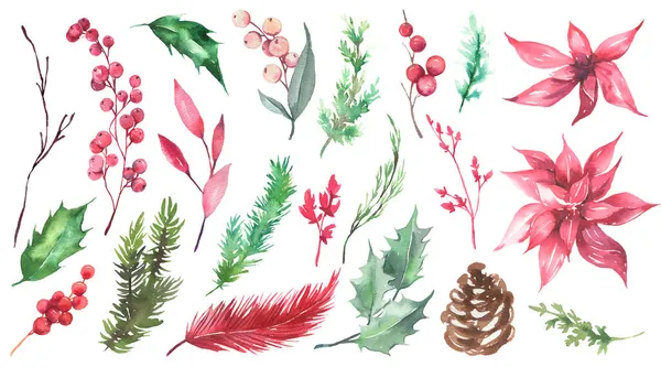 Акварель цветочная коллекция с рождественскими красными цветами и зелеными листьями. Цветочная коллекция идеально подходит для весенних открыток, приглашений, открыток и многое другое. — стоковое фото