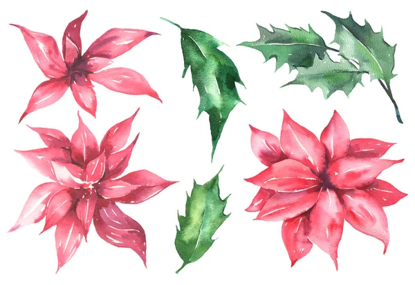 Coleção floral aquarela com flores vermelhas de Natal e folhas verdes. Coleção floral perfeita para cartões de saudação primavera, convite, cartões e muito mais. — Fotografia de Stock