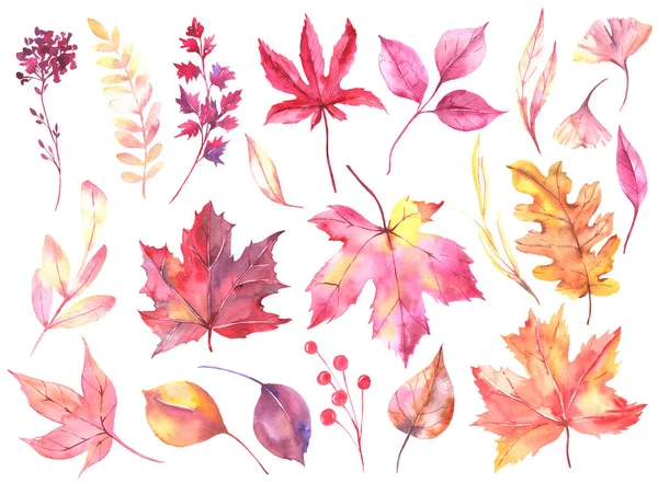 紅葉の招待状は、コレクション、ピンク、黄色、赤の葉の枝を残します。ロマンチックな花の花束は秋のグリーティングカード、招待状に最適です. — ストック写真