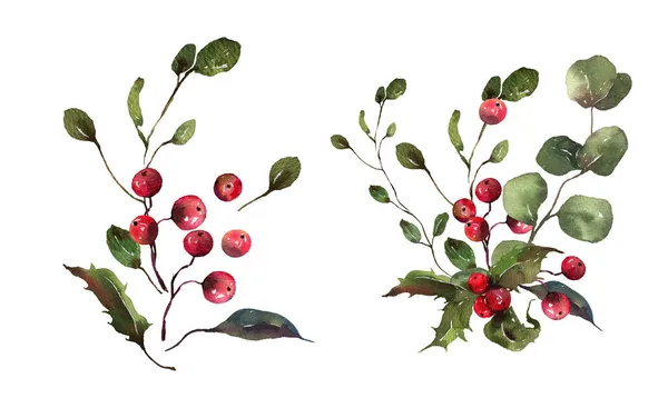水彩画圣诞邀请设计。水彩画冬季花束用于节假日设计.浆果、花、叶子、松果. — 图库照片