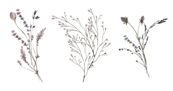 Колекція букетів Aqucolor Midsummer з ручним розфарбованим листям, квітами. Романтичні квіткові композиції ідеально підходять для весільних листівок, запрошення . — стокове фото