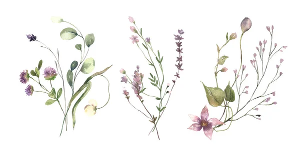 Watercolor Midsummer ανθοδέσμες συλλογή με ζωγραφισμένα στο χέρι λεπτά φύλλα, λουλούδια. Ρομαντικές ανθικές ρυθμίσεις ιδανικό για γαμήλιες ευχετήριες κάρτες, πρόσκληση. — Φωτογραφία Αρχείου