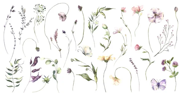 Aquarell Mittsommerblumen Kollektion mit handbemalten zarten Blättern, Blumen. Romantische Blumenarrangements perfekt für Hochzeits-Grußkarten, Einladungen. — Stockfoto