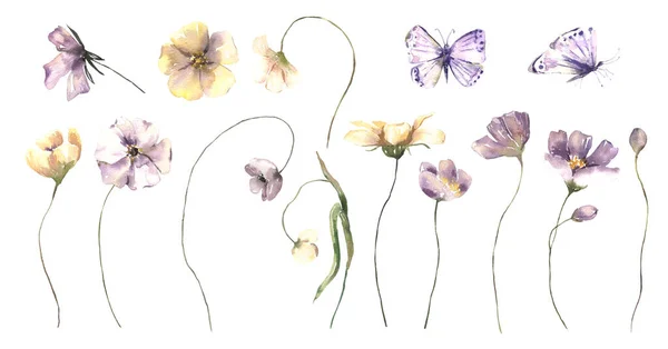 Aquarell Mittsommerblumen Kollektion mit handbemalten zarten Blättern, Blumen. Romantische Blumenarrangements perfekt für Hochzeits-Grußkarten, Einladungen. — Stockfoto