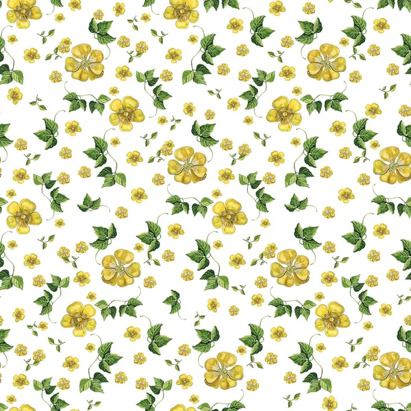 Seamless Watercolor Pattern Yellow Buttercups Greenery — Stock Photo, Image