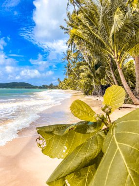 Koh Mak tropikal adası ve Koh Chang, Trat, Tayland yakınlarındaki cennet plajı.