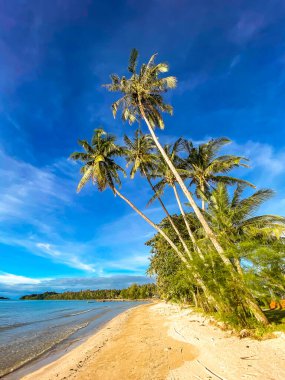 Koh Mak tropikal adası ve Koh Chang, Trat, Tayland yakınlarındaki cennet plajı.