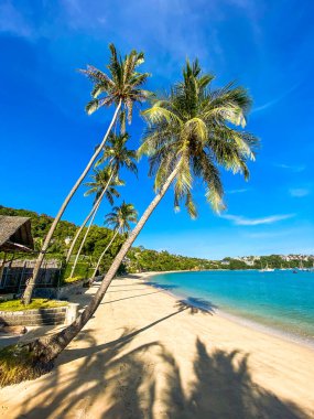 Tayland 'daki Phuket Adası' nın doğusundaki Aoyon plajı.