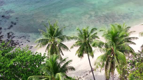 Freedom beach secret beach in Phuket Thailand — Stock video