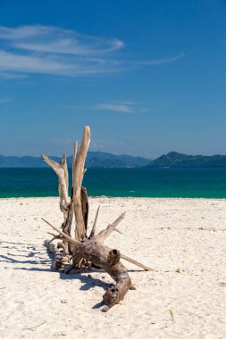 Koh Khai Nai, Phuket Eyaleti, Tayland 'daki kedi adası.