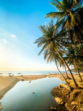 Tayland 'ın Phuket bölgesindeki Surin plajının hava görüntüsü