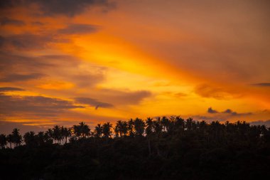 Tayland 'ın Phuket yarımadasındaki Promthep Burnu' nda gün batımında yelkenli sürüyor.