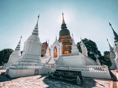 Wat-Suan-Dok 'taki bir grup pagoda. Tayland, Chiang Mai 'deki ünlü tapınak.