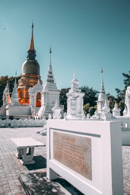 Wat-Suan-Dok 'taki bir grup pagoda. Tayland, Chiang Mai 'deki ünlü tapınak.